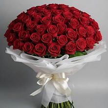 Букет 101 Красная роза Блэк Мэджик в Солманово