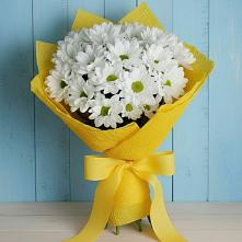 Букет цветов из:  Хризантемы #REPLACE_PRED# Солманово