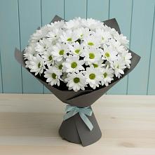 Букет цветов из:  Хризантемы в Солманово