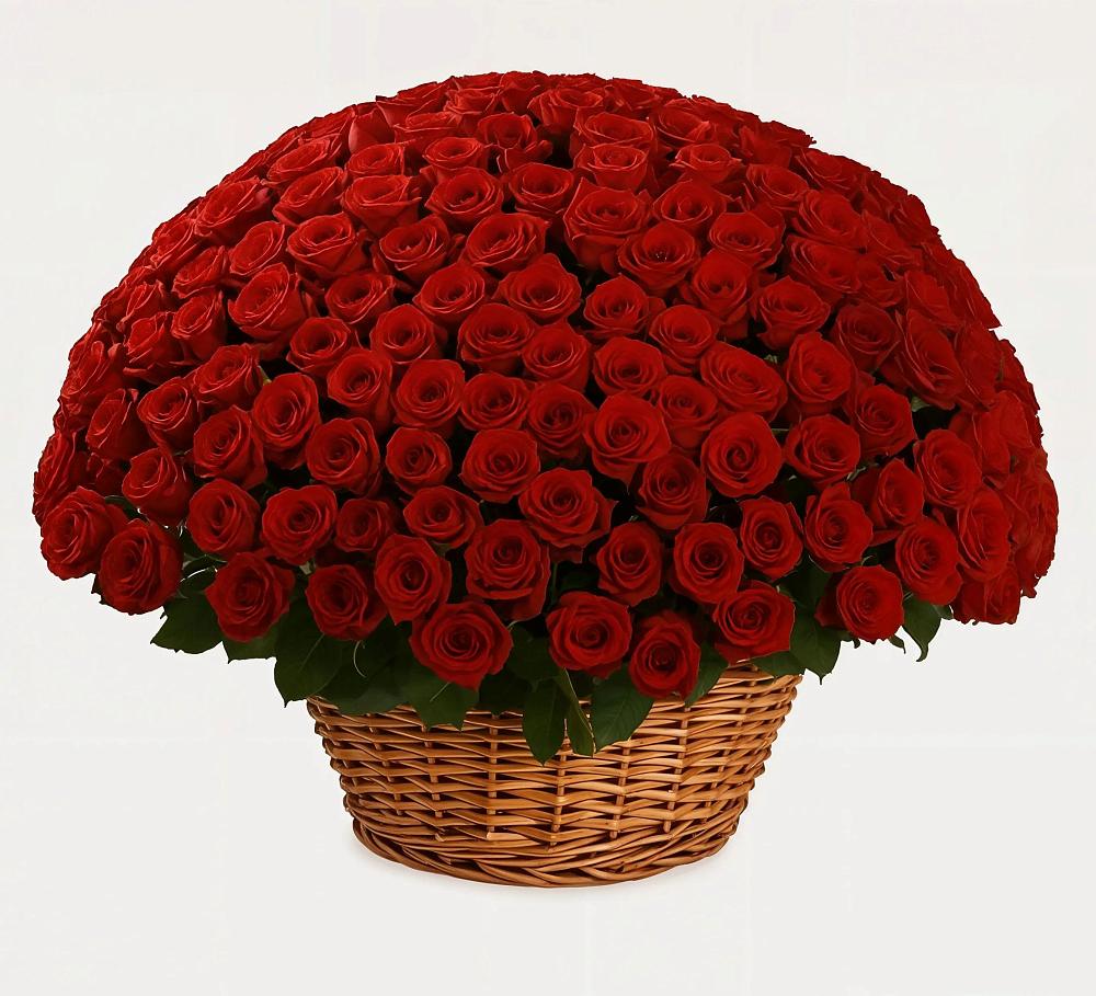 Премиум букет из: Розы в Солманово