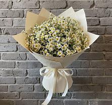 Букет цветов из:  Ромашки #REPLACE_PRED# Солманово