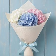 Букет цветов из:  Гортензия в Солманово