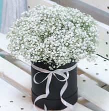 Цветочная композиция из Гипсофила в шляпной коробке #REPLACE_PRED# Солманово