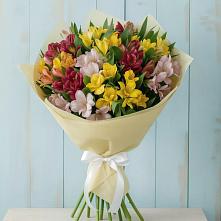 Букет цветов из:  Альстромерии в Солманово