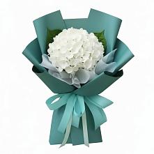 Букет цветов из:  Гортензия #REPLACE_PRED# Солманово